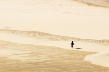 Fototapeta na wymiar A solo traveler (women) walking on a beach in the Robberg nature reserve in Plettenberg bay, South Africa. 