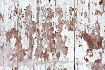 The old wooden wall texture as a background