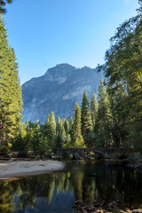 Fototapeta na wymiar The Forest at Yosemite, CA, USA, September, 2016
