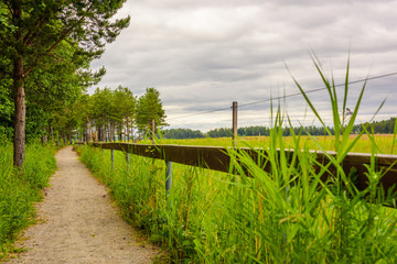 Dirt path at countryside