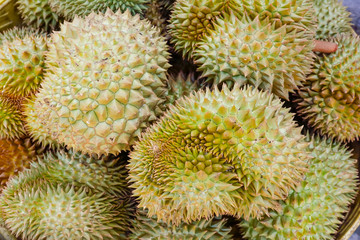 Naklejka na ściany i meble durian fruit