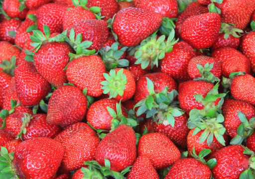 Fresh ripe strawberries background top view. Harvest of fruits scattered in local farmers market box. Isolated healthy, sweet red berry with green leaves, full frame image with no other elements.