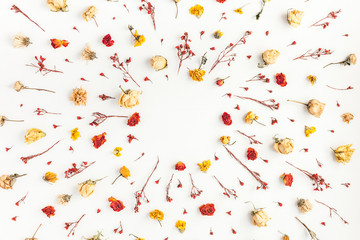 Autumn composition. Frame made of autumn dried flowers on white background. Flat lay, top view, copy space