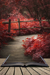 Plakaty  Piękny surrealistyczny czerwony krajobraz obraz drewnianej promenady przez las w koncepcji wiosny wychodzącej ze stron w otwartej księdze