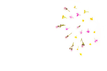 Flowers background. Lilac and yellow flowers on white background. Flat lay, top view