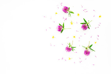 Flowers background. Lilac clover flowers on white background. Flat lay, top view