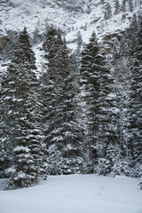 The Scenic Beauty of the Colorado Rocky Mountains in Winter