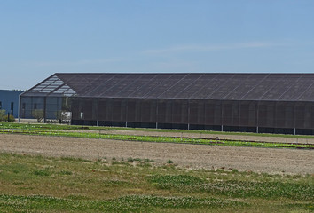 hangar