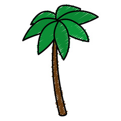 tree palms isolated icon