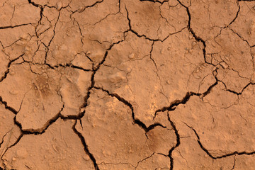 Texture of the ground
