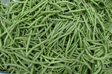 fresh raw green beans at the market