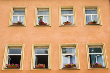 windows with flower pots