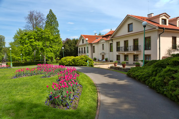 Fototapeta na wymiar house in a park with tulips