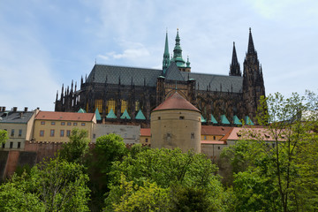 Fototapeta premium Prague Castle and Cathedral of saint Vitus in Prague, Czech Republic