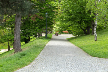 Fototapeta na wymiar Path of paving stones in a park