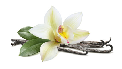 Fototapeta na wymiar Vanilla with leaves horizontal pod isolated on white