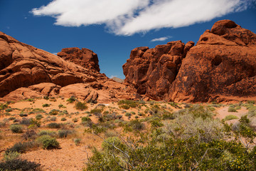 Fototapeta premium Aztec Sandstone in Valley of Fire State Park