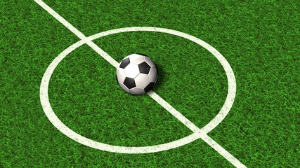 Fototapeta na wymiar Football on a soccer field line in the green grass - 3d render