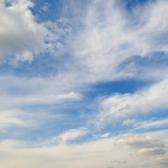 cumulus clouds in the blue sky