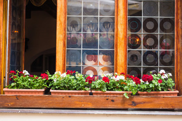 windows with flower pots