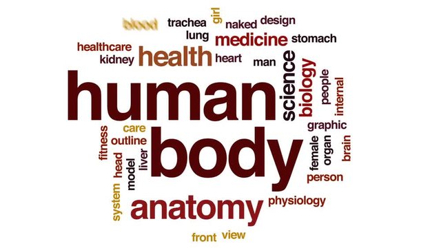 Human body animated word cloud, text design animation.