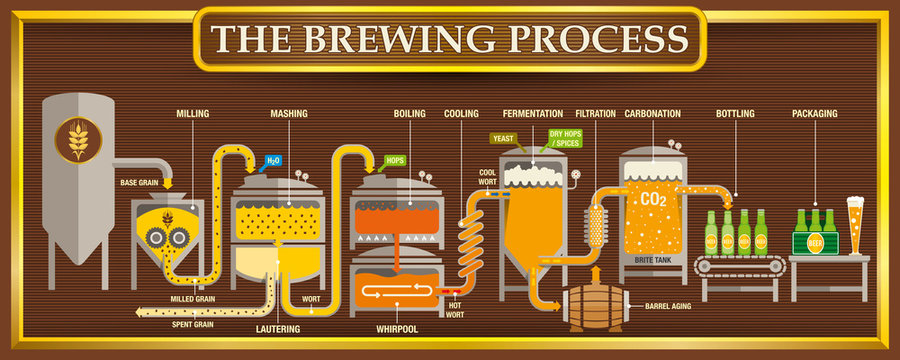 The Brewing Process info-graphic with beer design elements on brown background with golden frame. Vector image
