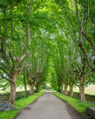 Idyllic road along the River Broom, near Ullapool,  in Ross-shire, Scottish Highlands.