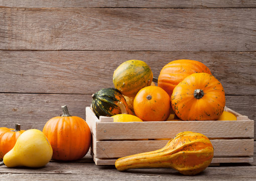 Autumn pumpkins on wooden table