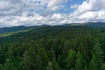 Aussicht auf den Bayrischen Wald vom Aussichtspunkt Waldgipfelpfad
