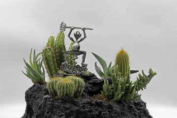 Timanfaya Teufel mit Kakteen, Lanzarote, Kanaren