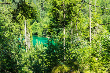crestasee seen through forest with turquoise water