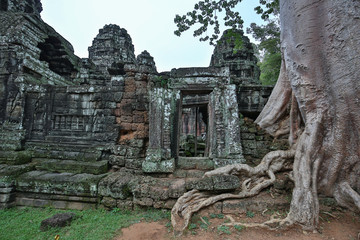 Fototapeta na wymiar Banteay Kdei Tempel in Angkor, Kambodscha