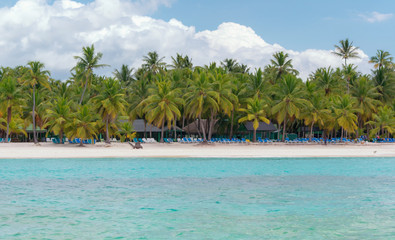 Obraz premium Saona Island.