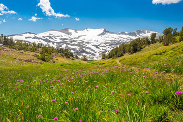 Fototapeta premium Gardisky Lake