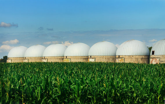 Agricultural Silos - Building Exterior, Storage and drying of grains, wheat, corn against the blue sky with rice fields.