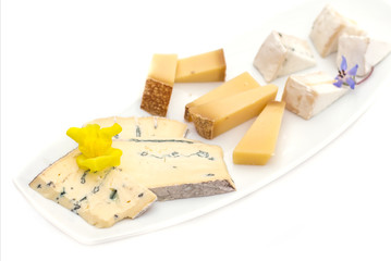 Cheese plate with different kinds of cheese with flowers.