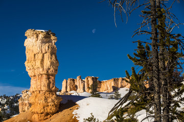Hoodoo and Moon at Bryce