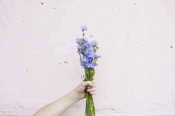 bouquet of wildflowers in hand on wall background