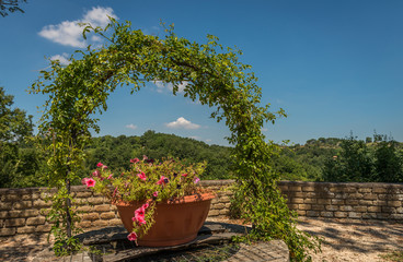 Fiori su pozzo con rampicante