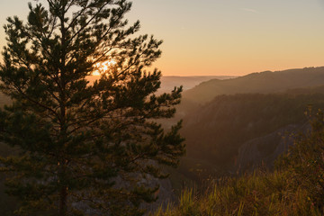 beautiful sunrise through the tree is visible over the mountains