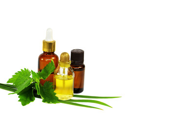 Natural organic oil isolated