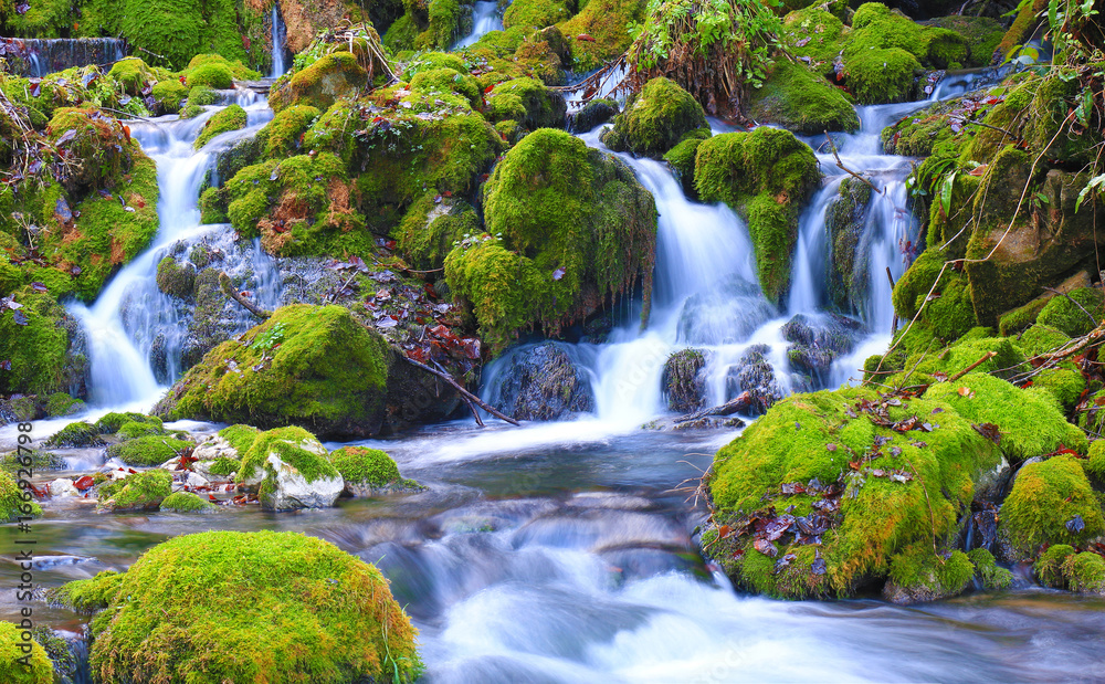 Wall mural Mountain stream