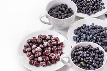 black raisins, black currants, honeysuckle and blueberries on white background