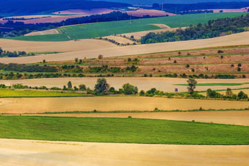 Fototapeta na wymiar South Moravia agriculture landscape, 250 km south of Prague, Czech Republic, Europe