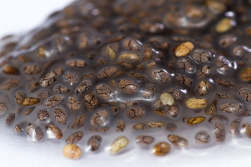 wet chia seeds