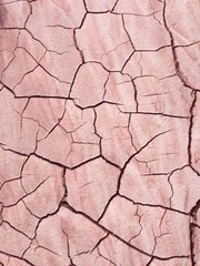 Fototapeta premium Cracked Mud, Arizona, 2014