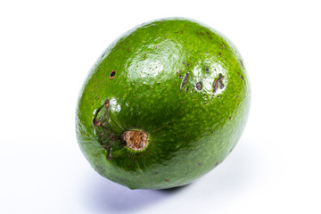 large green avocado