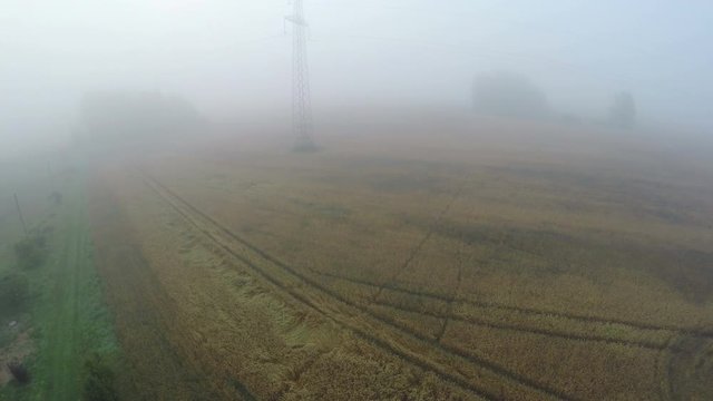 Dark early morning mist fog in farmland with wheat fields, aerial view from drone