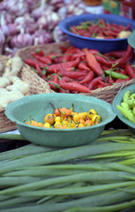 The colorful peppers in free market stall typical of Brazil