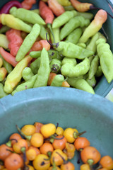 Pepper on display on street market stall in Brazil